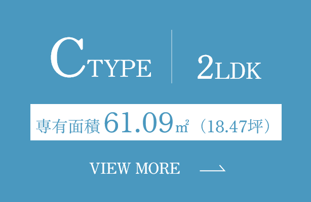 C TYPE
