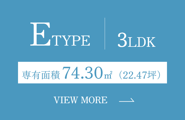 E TYPE